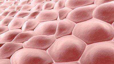 PolarityTE Launches Two Trials Of SkinTE Chronic Wound Therapy