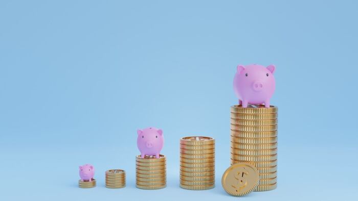 Piggy Money