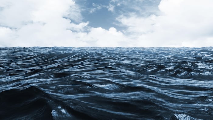 Ocean