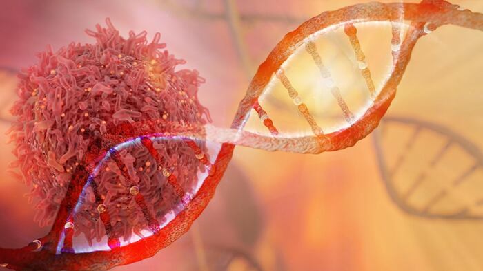 DNA strand and Cancer Cell Oncology Research Concept 3D rendering Image ID: M58FYC