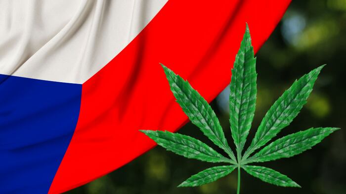 Cannabis leaf against detail of flag of the Czech Republic