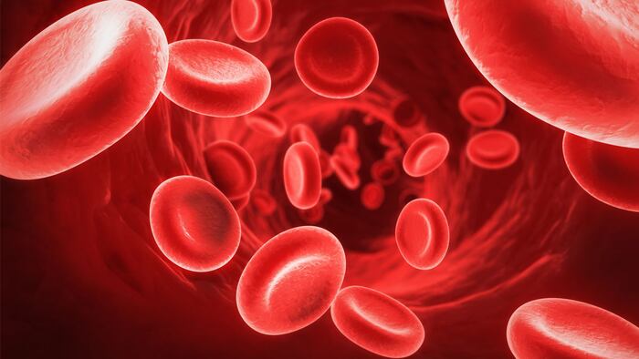 Red Blood Cells