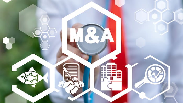 M&A review