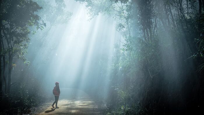 Sun rays