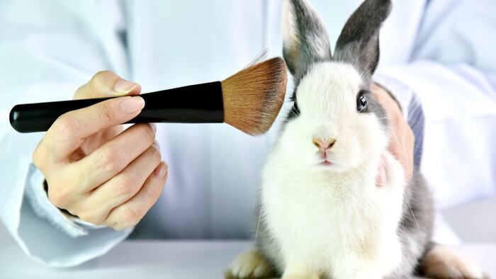 Animal Testing_1200