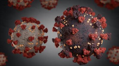 EMA Sticks With JN.1 Variant For COVID-19 Vaccines, Despite US FDA's Choice of KP.2