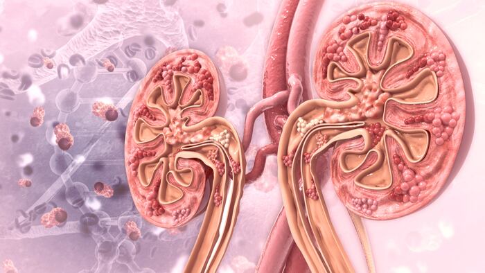 Kidney_Disease