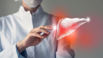 Fatty Liver Disease Drug Approval Opens New Patient Population In Imaging Market