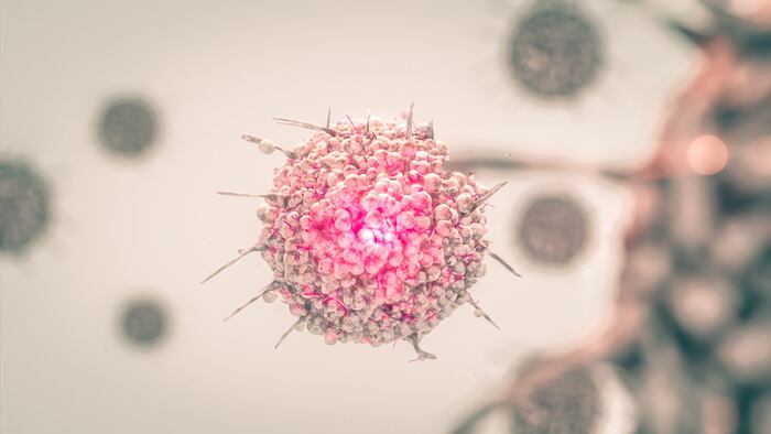Cancer cell
