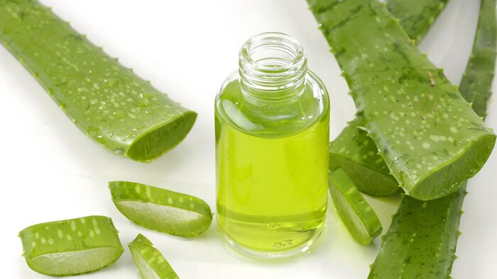 RS1612_AloeVera_1200x675