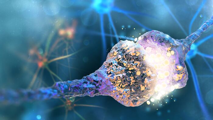 Neuromodulation