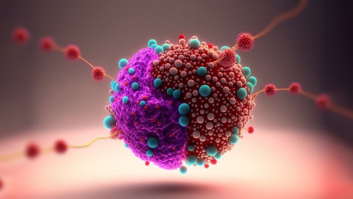 tumor microenvironment