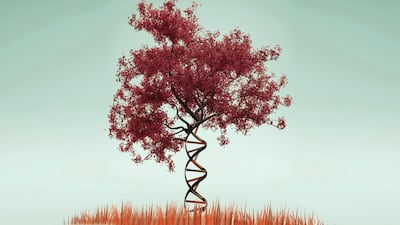 Scrip-R&D-Premium: ‘Article’ article that includes different Composer content