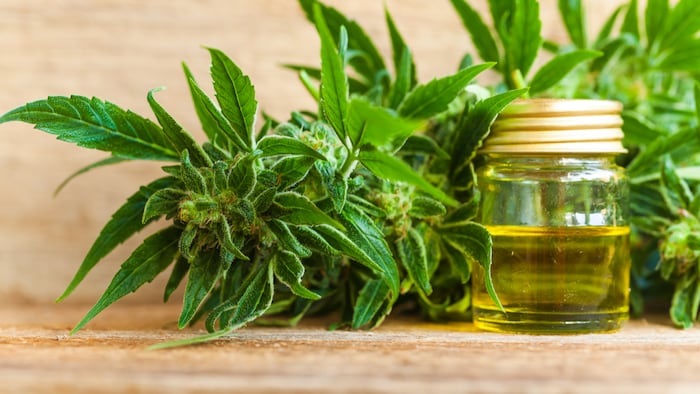 cannabis CBD oil hemp products - Image