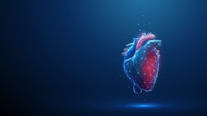 Heart