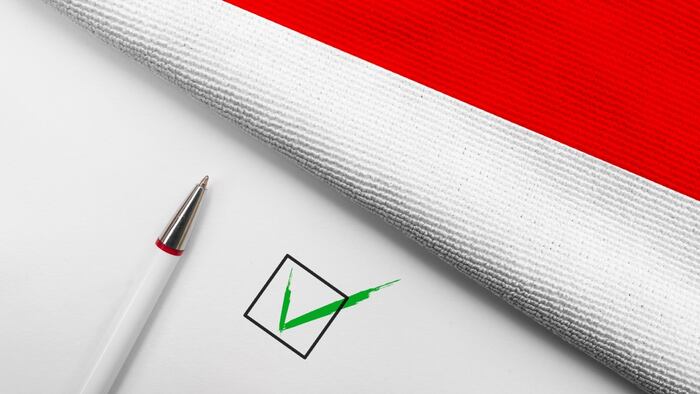 Indonesia flag tick check pen