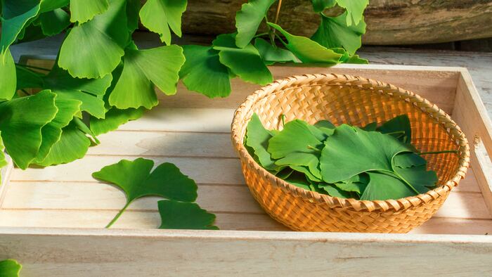 RS1803_Medicinal Leaves_ 661201579_1200.jpg