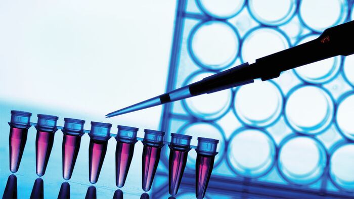 PCR strip test tubes and micropipette in genetics laboratory. Toned photo