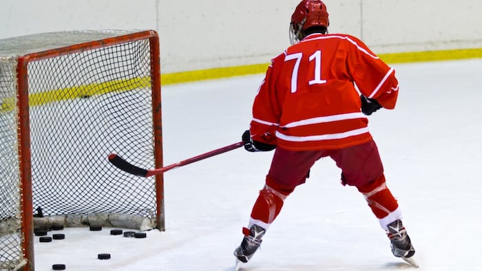 Hockey net (shots on goal)