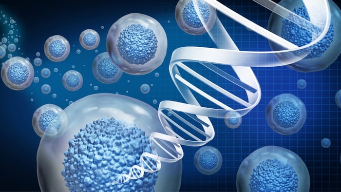 cell and gene therapy