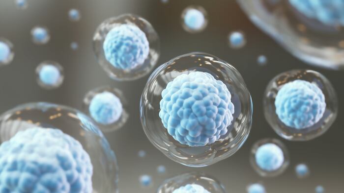 Cell regeneration