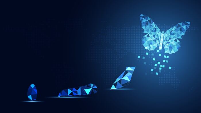 Abstract Business digital transformation innovative of butterfly life cycle evolution blue background. Renewal and Powerful transformation metamorphosis concept. Lightness of being and playfulness
