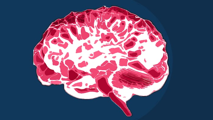red white and blue brain