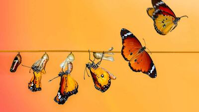 The Emergence Of A New Medicinal Platform: mRNA