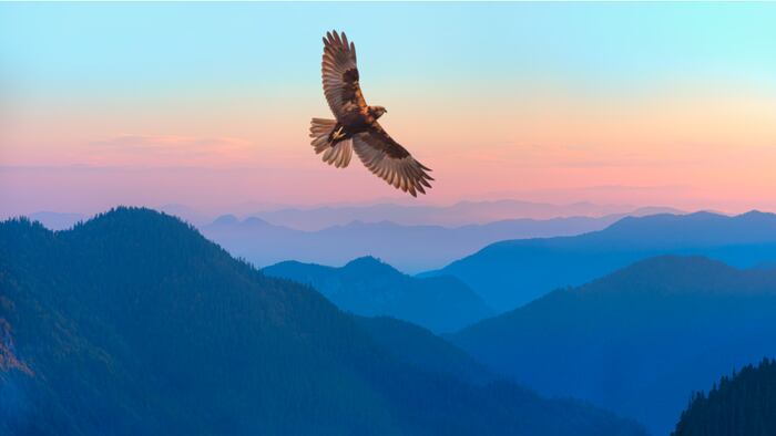 Red-tailed Hawk flying over the mountains with sky background