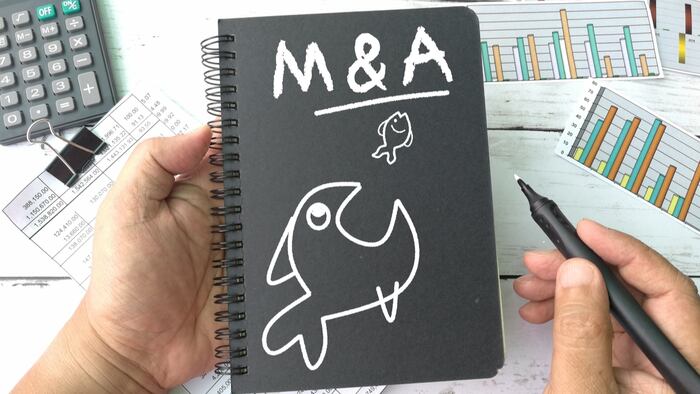 M&A