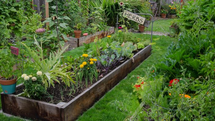 RS1806_Garden Beds_150058757_1200.jpg
