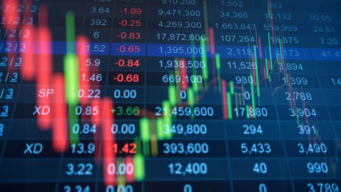 Share price up and down