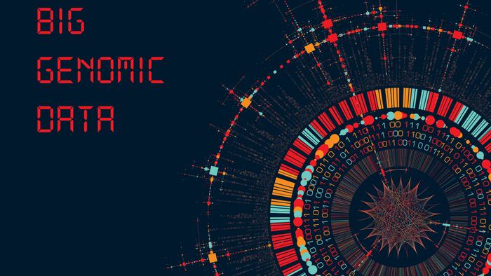 Big Genomic Data Visualization - DNA Test, Barcoding, Genom Map Architecture - Vector Graphic Template - Vector