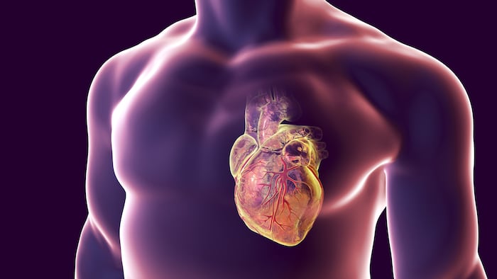 Heartvalve