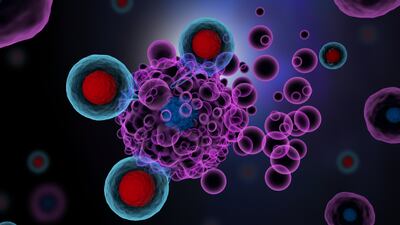 Immutep LAG-3 Inhibitor May Have Path Forward