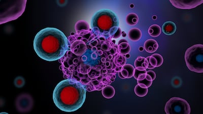 Immutep LAG-3 Inhibitor May Have Path Forward