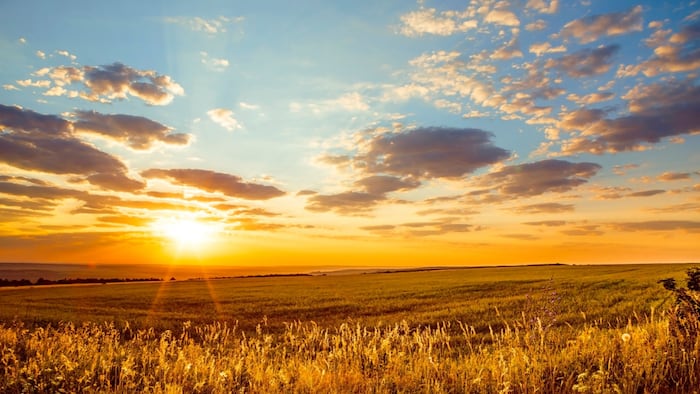 Bright horizon