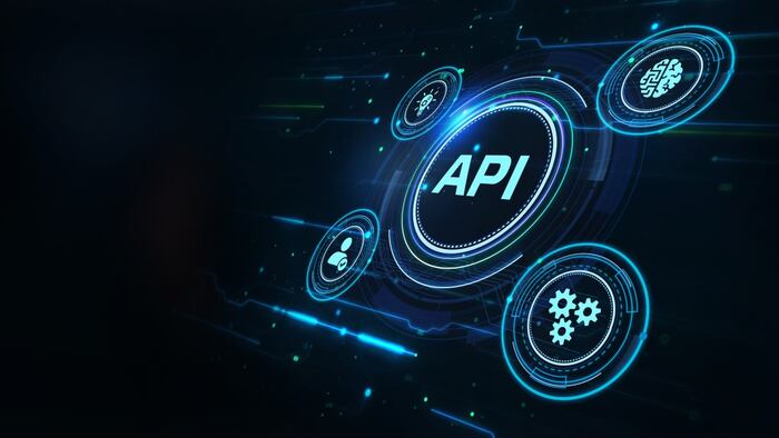 API icon