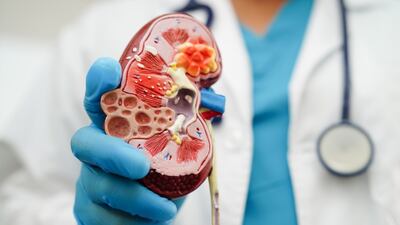 AZ And Boehringer Move Into Phase III With Rival Next-Gen CKD Drugs