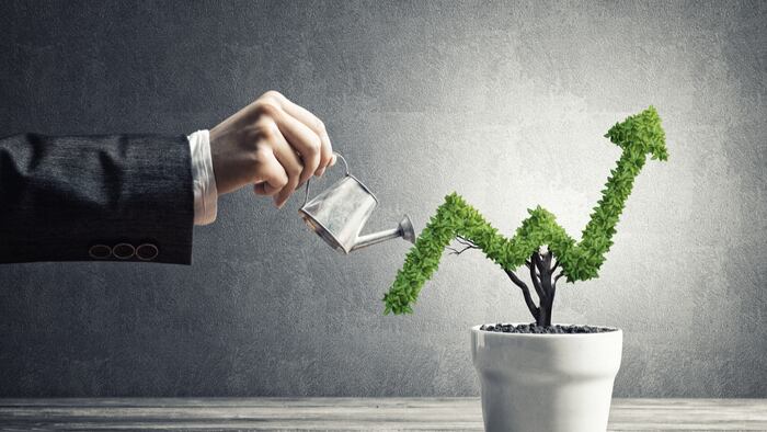 Business growth