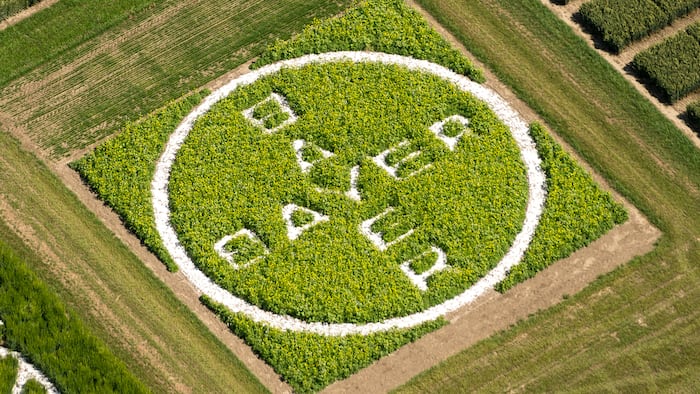 Bayer_Logo_Field