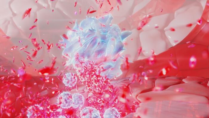 Natural killer cells