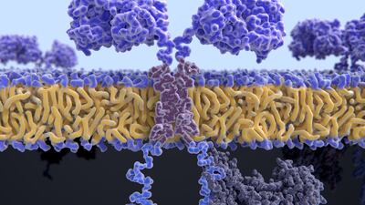 Inside Gilead’s Community Oncology CAR-T Pilot