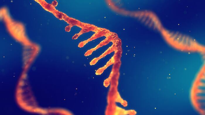 RNA_Research