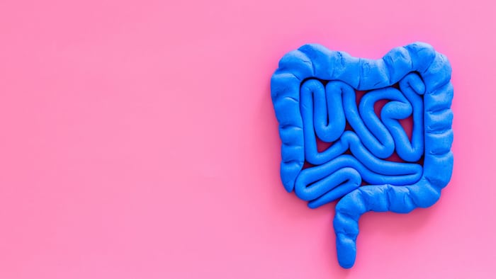 Intestines health. Guts on pink background top view copy space