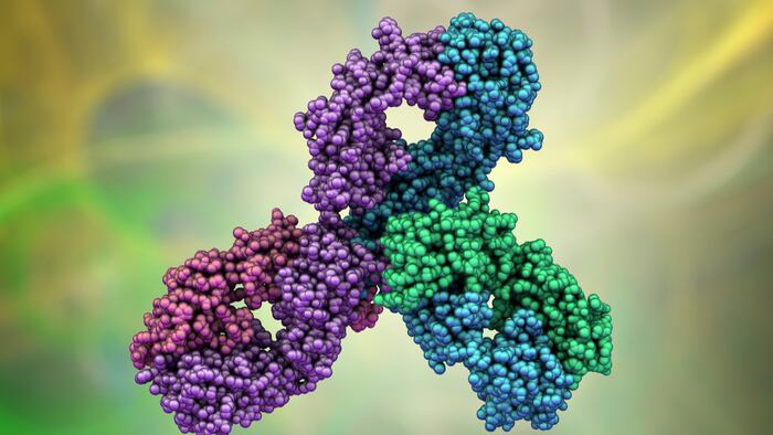 Molecular model of Keytruda