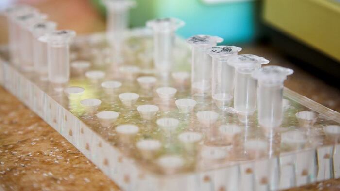 laboratory