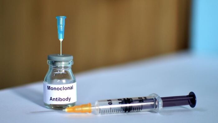 monoclonal antibdoy