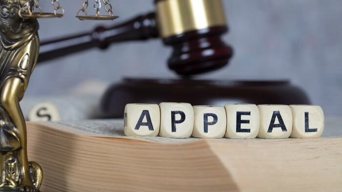 Appeal_Gavel