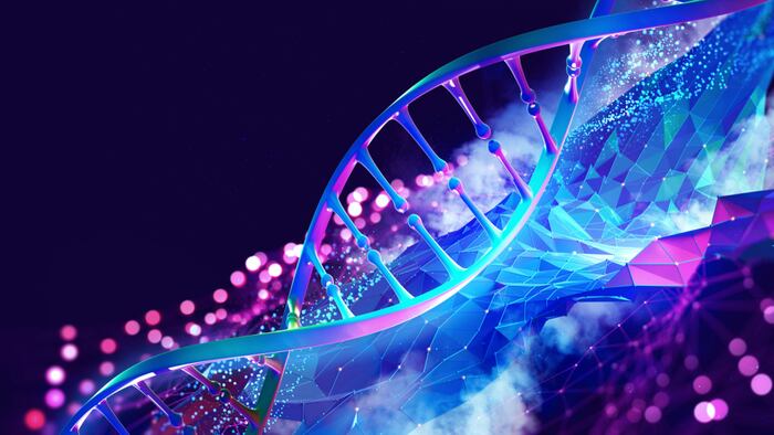 DNA helix 3D model